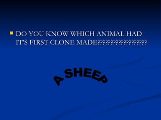 DO YOU KNOW WHICH ANIMAL HAD IT’S FIRST CLONE MADE??????????????????? A SHEEP 