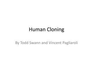 Human Cloning By Todd Swann and Vincent Pagliaroli  