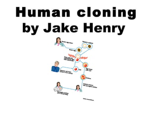 Human cloning by Jake Henry   