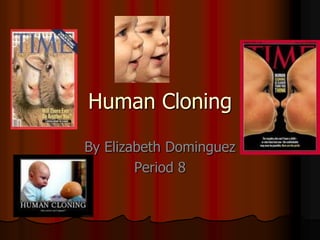 Human Cloning  By Elizabeth Dominguez Period 8 