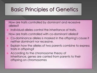Basic Principles of GeneticsHow are traits controlled by dominant and recessive alleles?