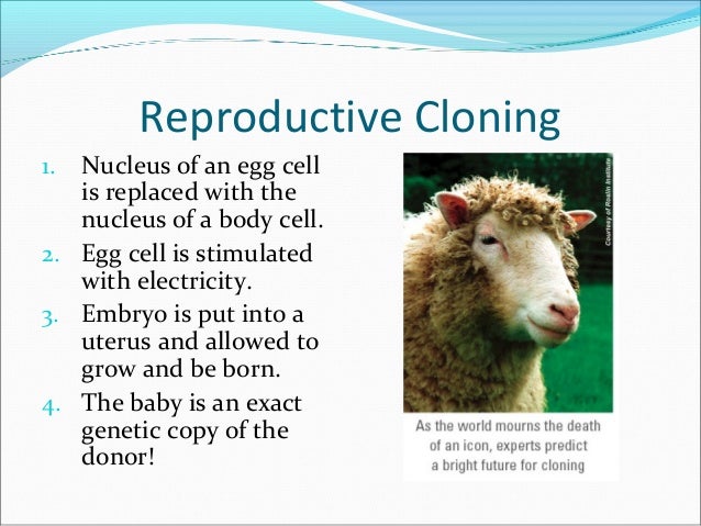 an introduction to the issue of human cloning The ethics of human cloning 1998 issue of the prestigious journal, scientific american, there appeared an article titled “cloning for medicine. an introduction to the issue of human cloning The ethics of human cloning 1998 issue of the prestigious journal, scientific american, there appeared an article titled “cloning for medicine.