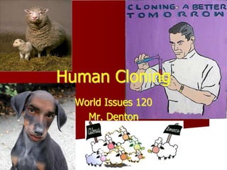 Human Cloning 
World Issues 120 
Mr. Denton 
 
