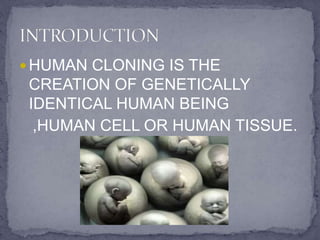 Human Cloning | PPTX
