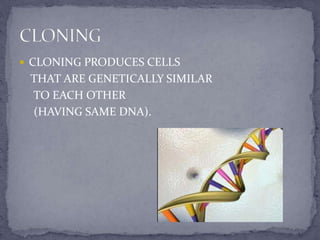 Human Cloning | PPTX