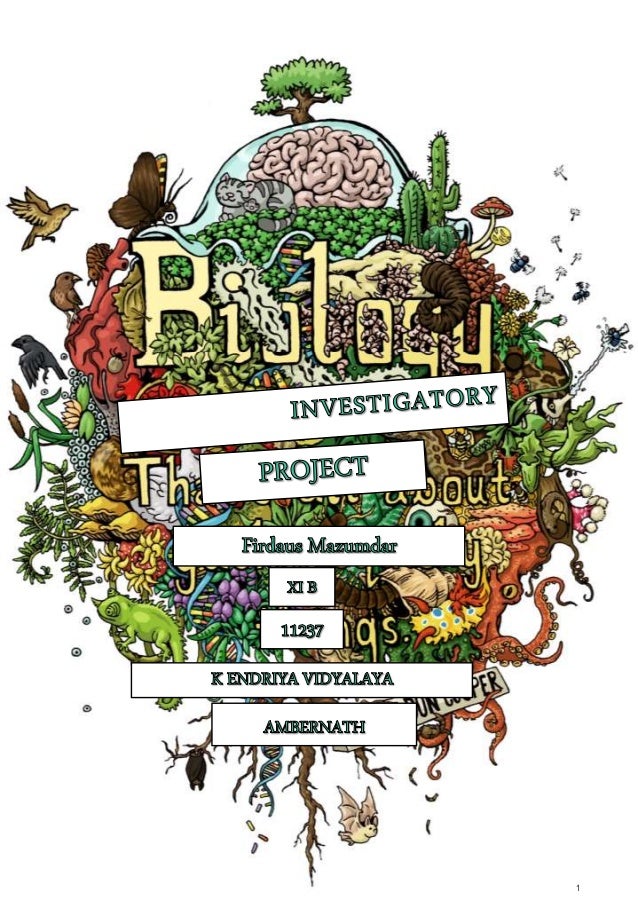 Investigatory Project BiologyHuman Cloning Firdaus Mazumdar11th