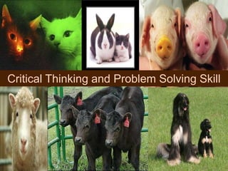 Human cloning critical thinking & problem solving skills | PPTX