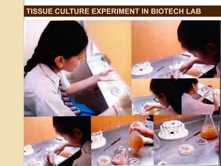 Human cloning critical thinking & problem solving skills | PPTX