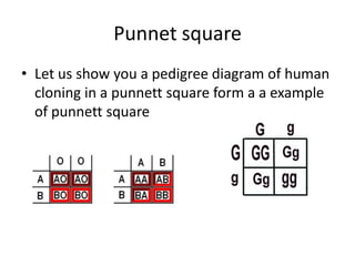 Multifactorial disorders- mutations in multiple genes, which may interact with environmental factors.