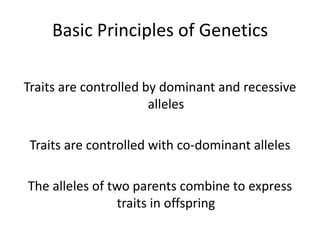 Basic Principles of GeneticsTraits are controlled by dominant and recessive allelesTraits are controlled with co-dominant allelesThe alleles of two parents combine to express traits in offspring