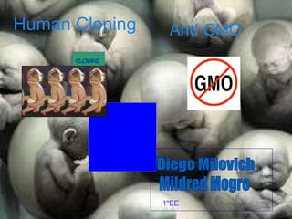 Human Cloning    And GMO
      CL NS
        OW




                1ºEE
 
