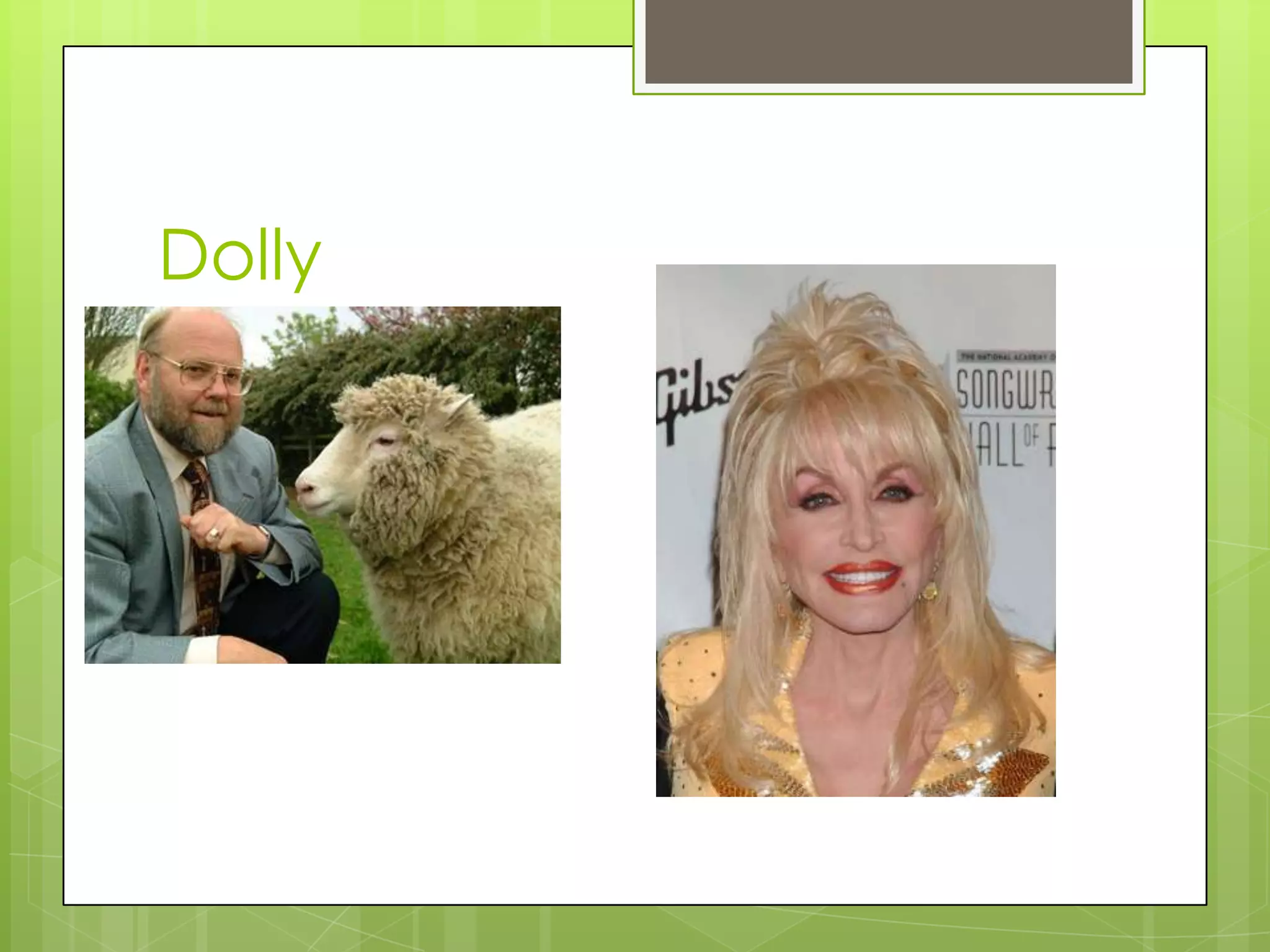 Dolly