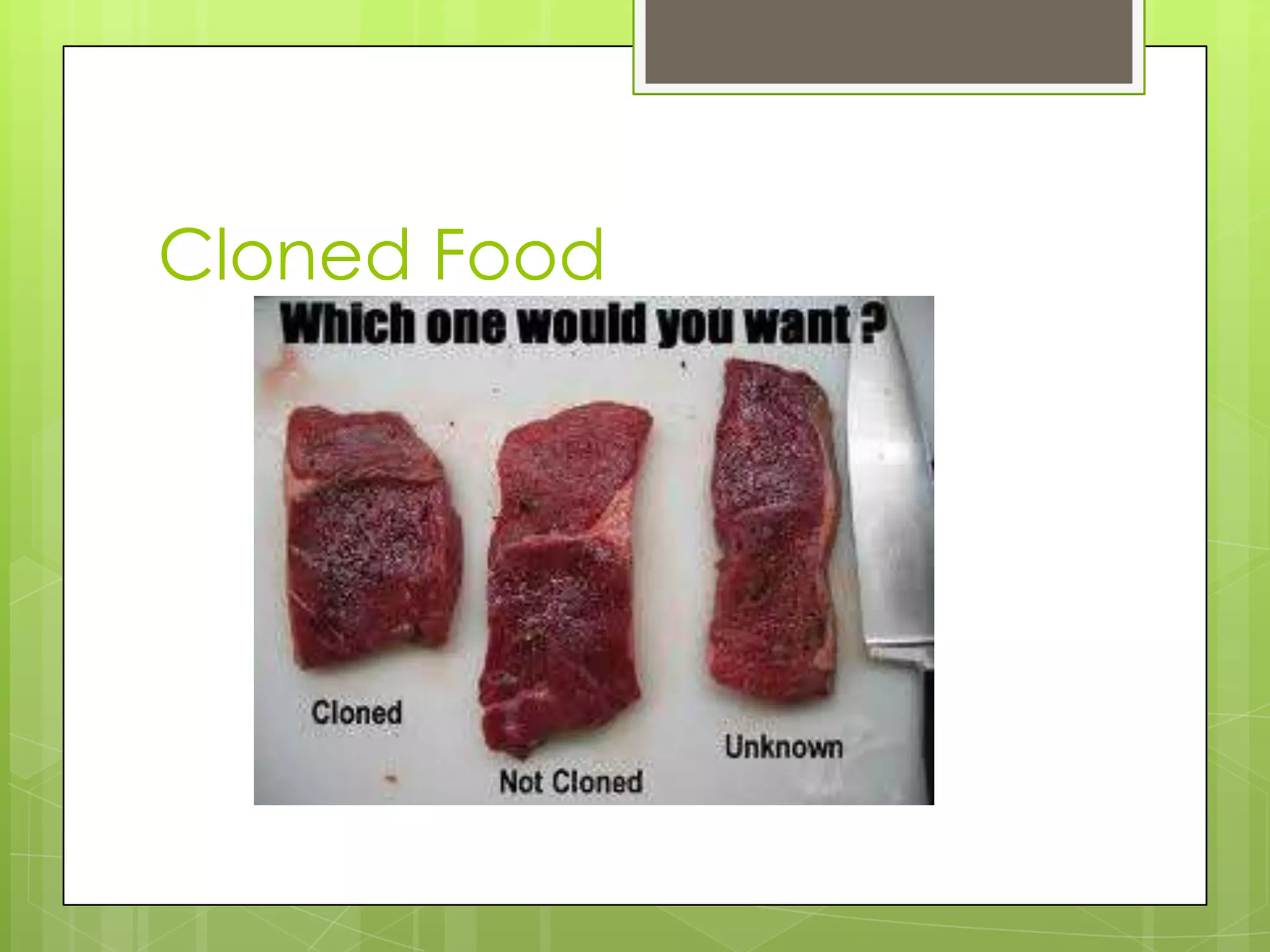 Cloned Food