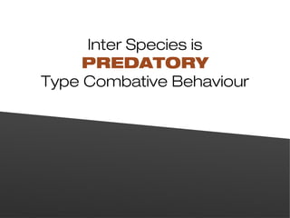 Human Combative Behavior Presentation | PPT