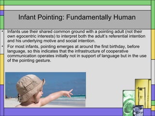 Infant Pointing: Fundamentally Human
• Infants use their shared common ground with a pointing adult (not their
own egocentric interests) to interpret both the adult’s referential intention
and his underlying motive and social intention.
• For most infants, pointing emerges at around the first birthday, before
language, so this indicates that the infrastructure of cooperative
communication operates initially not in support of language but in the use
of the pointing gesture.
 