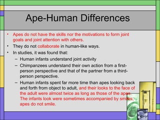 Ape-Human Differences
• Apes do not have the skills nor the motivations to form joint
goals and joint attention with others.
• They do not collaborate in human-like ways.
• In studies, it was found that:
– Human infants understand joint activity
– Chimpanzees understand their own action from a first-
person perspective and that of the partner from a third-
person perspective.
– Human infants spent far more time than apes looking back
and forth from object to adult, and their looks to the face of
the adult were almost twice as long as those of the apes.
The infants look were sometimes accompanied by smiles;
apes do not smile.
 