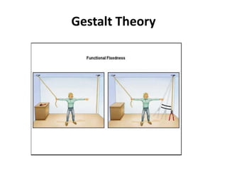 Gestalt Theory
 