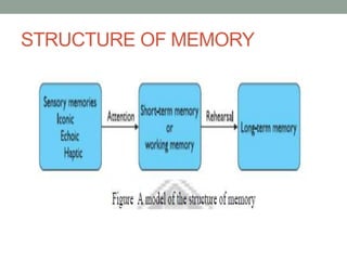 STRUCTURE OF MEMORY
 