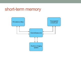 short-term memory
 