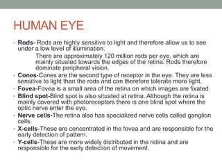 HUMAN EYE
• Rods- Rods are highly sensitive to light and therefore allow us to see
under a low level of illumination.
There are approximately 120 million rods per eye, which are
mainly situated towards the edges of the retina. Rods therefore
dominate peripheral vision.
• Cones-Cones are the second type of receptor in the eye. They are less
sensitive to light than the rods and can therefore tolerate more light.
• Fovea-Fovea is a small area of the retina on which images are fixated.
• Blind spot-Blind spot is also situated at retina. Although the retina is
mainly covered with photoreceptors there is one blind spot where the
optic nerve enter the eye.
• Nerve cells-The retina also has specialized nerve cells called ganglion
cells.
• X-cells-These are concentrated in the fovea and are responsible for the
early detection of pattern.
• Y-cells-These are more widely distributed in the retina and are
responsible for the early detection of movement.
 