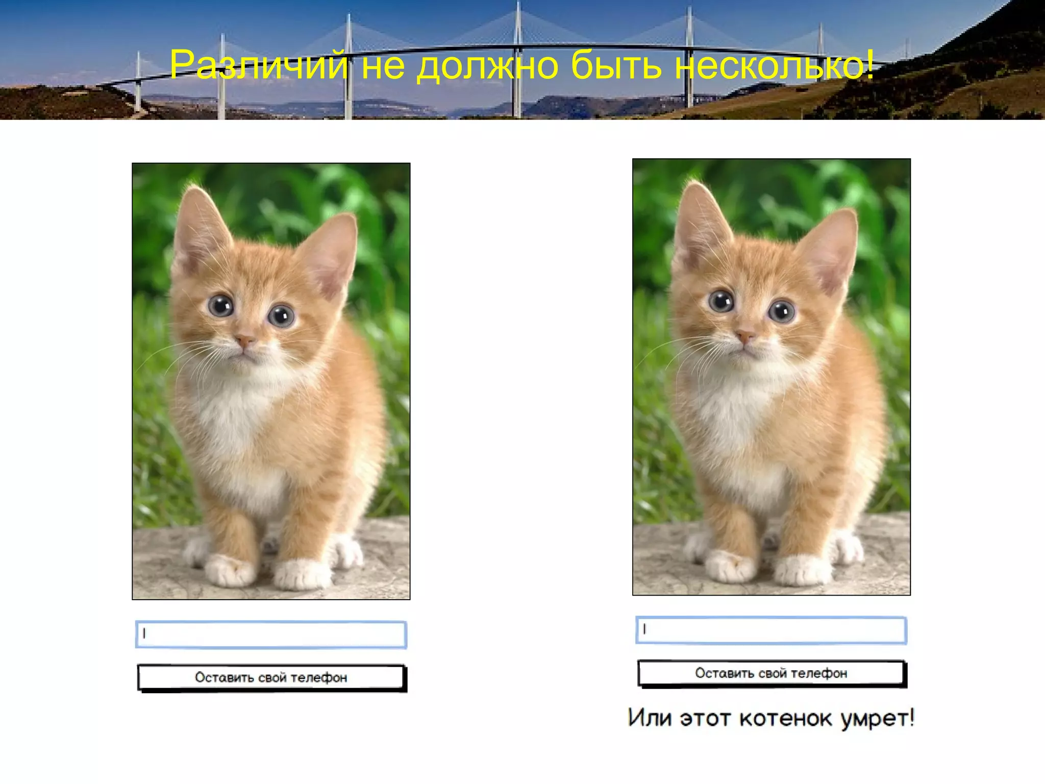 Различий не должно быть несколько!
 