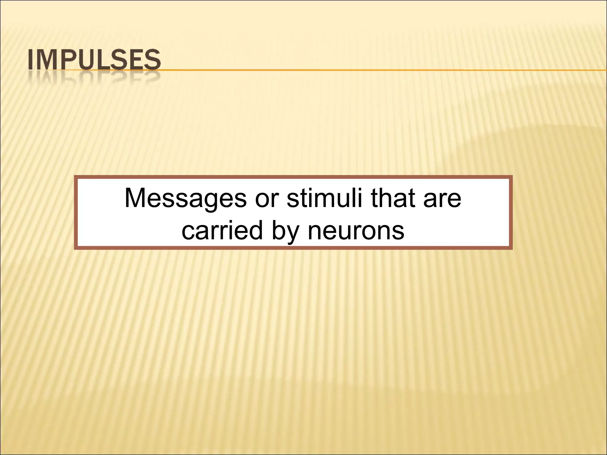 Messages or stimuli that are
carried by neurons