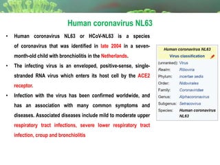 Human coronavirus NL63
• Human coronavirus NL63 or HCoV-NL63 is a species
of coronavirus that was identified in late 2004 in a seven-
month-old child with bronchiolitis in the Netherlands.
• The infecting virus is an enveloped, positive-sense, single-
stranded RNA virus which enters its host cell by the ACE2
receptor.
• Infection with the virus has been confirmed worldwide, and
has an association with many common symptoms and
diseases. Associated diseases include mild to moderate upper
respiratory tract infections, severe lower respiratory tract
infection, croup and bronchiolitis
 