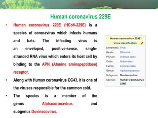 • Human coronavirus 229E (HCoV-229E) is a
species of coronavirus which infects humans
and bats. The infecting virus is
an enveloped, positive-sense, single-
stranded RNA virus which enters its host cell by
binding to the APN (Alanine aminopeptidase)
receptor.
• Along with Human coronavirus OC43, it is one of
the viruses responsible for the common cold.
• The species is a member of the
genus Alphacoronavirus and
subgenus Duvinacovirus.
Human coronavirus 229E
 