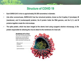 • Each SARS-CoV-2 virion is approximately 50–200 nanometres in diameter.
• Like other coronaviruses, SARS-CoV-2 has four structural proteins, known as the S (spike), E (envelope), M
(membrane), and N (nucleocapsid) proteins; the N protein holds the RNA genome, and the S, E, and M
proteins together create the viral envelope.
• The spike protein, which has been imaged at the atomic level using cryogenic electron microscopy, is the
protein responsible for allowing the virus to attach to the membrane of a host cell.
Structure of COVID 19
 