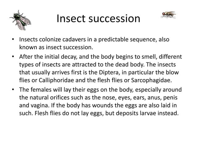 Insect Succession Examples Human decomposition and insect succession | PPTX