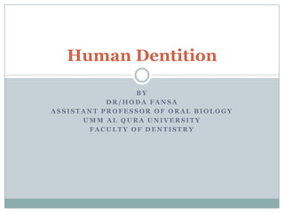 By dr/HodaFansa Assistant professor of Oral Biology Umm Al QuraUniversity Faculty of dentistry Human Dentition 