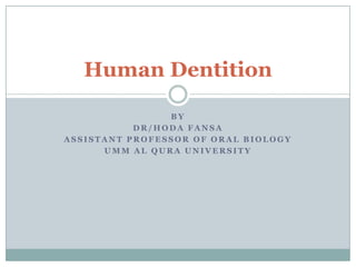 By dr/HodaFansa Assistant professor of Oral Biology Umm Al Qura University Human Dentition 