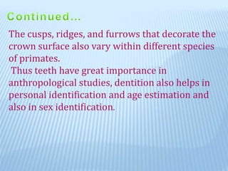 The cusps, ridges, and furrows that decorate the
crown surface also vary within different species
of primates.
Thus teeth have great importance in
anthropological studies, dentition also helps in
personal identification and age estimation and
also in sex identification.
 