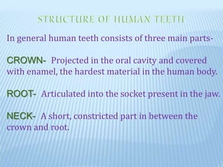 In general human teeth consists of three main parts-
CROWN- Projected in the oral cavity and covered
with enamel, the hardest material in the human body.
ROOT- Articulated into the socket present in the jaw.
NECK- A short, constricted part in between the
crown and root.
 