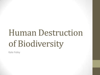 Human Destruction
of Biodiversity
Kate Foley
 