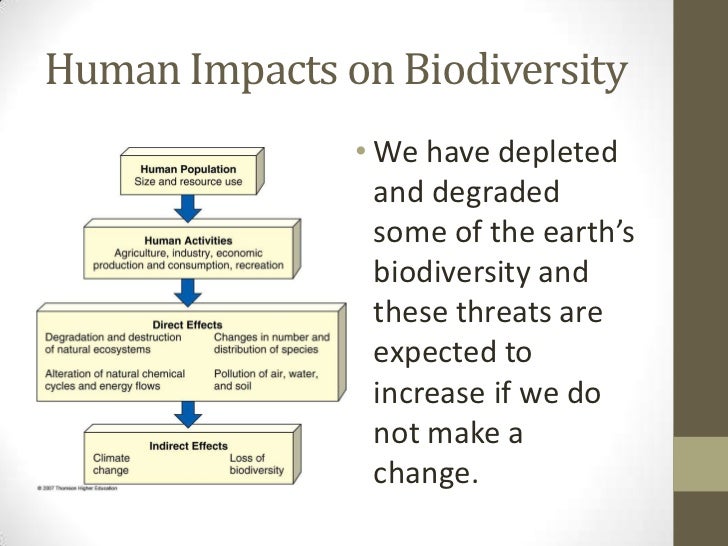 Impact of human activities on biodiversity