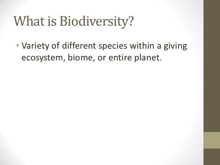 the destruction of rainforests and coral reefs as contributors to the extinction of species in human Hopefully it will still be able to thrive after the numerous accounts of human destruction endangerment and extinction of so many species coral reefs. the destruction of rainforests and coral reefs as contributors to the extinction of species in human Hopefully it will still be able to thrive after the numerous accounts of human destruction endangerment and extinction of so many species coral reefs.