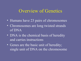 human development powerpoint presentation | PPT
