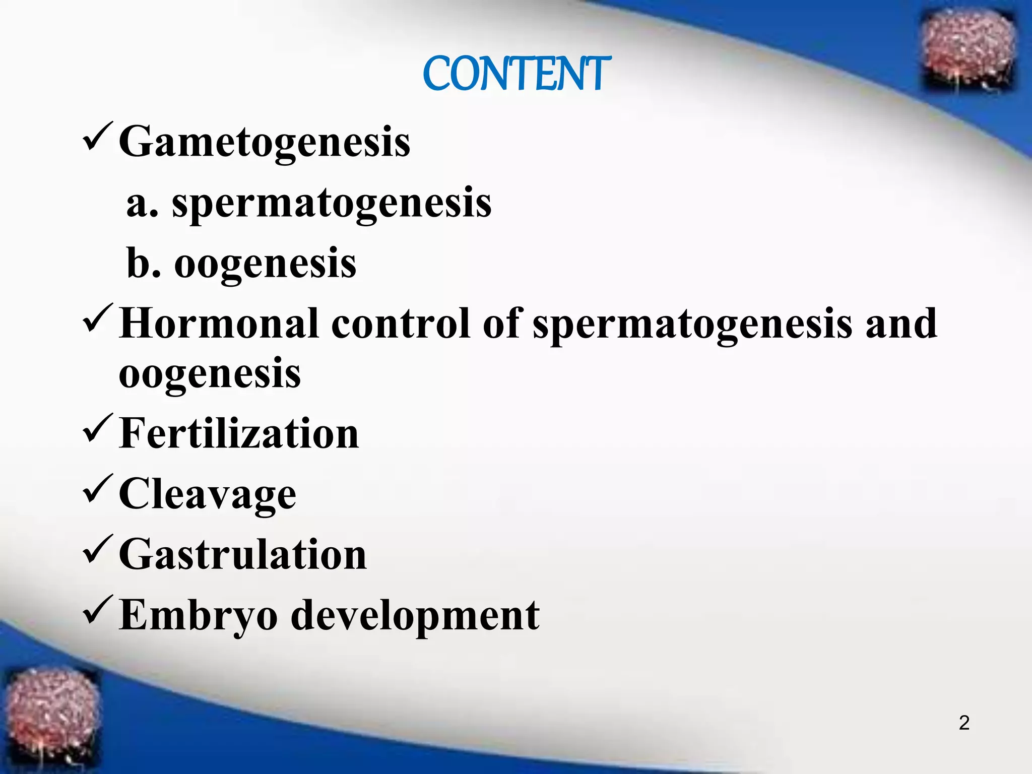 Human developmental Biology PPT