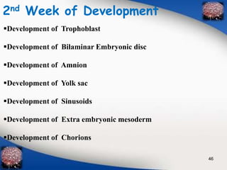 2nd Week of Development 
Development of Trophoblast 
Development of Bilaminar Embryonic disc 
Development of Amnion 
Development of Yolk sac 
Development of Sinusoids 
Development of Extra embryonic mesoderm 
Development of Chorions 
46 
 