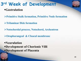 3rd Week of Development 
Gastrulation 
Primitive Stalk formation, Primitive Node formation 
Trilaminar Disk formation 
Notochordal process, Notochord, Archentron 
Oropharangeal & Cloacal membrane 
Neurulation 
Development of Chorionic Villi 
Development of Placenta 
48 
 