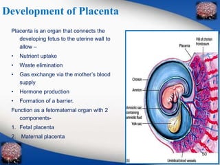 Development of Placenta 
Placenta is an organ that connects the 
developing fetus to the uterine wall to 
allow – 
• Nutrient uptake 
• Waste elimination 
• Gas exchange via the mother’s blood 
supply 
• Hormone production 
• Formation of a barrier. 
Function as a fetomaternal organ with 2 
components- 
1. Fetal placenta 
2. Maternal placenta 
50 
 
