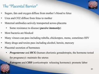 The “Placental Barrier” 
• Sugars, fats and oxygen diffuse from mother’s blood to fetus 
• Urea and CO2 diffuse from fetus to mother 
• Maternal antibodies actively transported across placenta 
• Some resistance to disease (passive immunity) 
• Most bacteria are blocked 
• Many viruses can pass including rubella, chickenpox, mono, sometimes HIV 
• Many drugs and toxins pass including alcohol, heroin, mercury 
• Placental secretion of hormones 
• Progesterone and HCG (human chorionic gonadotropin, the hormone tested 
for pregnancy): maintain the uterus 
• Estrogens and CRH (corticotropin releasing hormone): promote labor 
51 
 