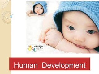 Human  Development 