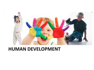HUMAN	
  DEVELOPMENT	
  
 