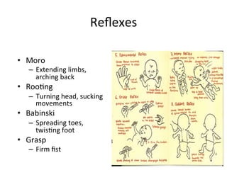 Reﬂexes	
  
•  Moro	
  
–  Extending	
  limbs,	
  
arching	
  back	
  
•  RooAng	
  
–  Turning	
  head,	
  sucking	
  
movements	
  
•  Babinski	
  
–  Spreading	
  toes,	
  
twisAng	
  foot	
  
•  Grasp	
  
–  Firm	
  ﬁst	
  
 