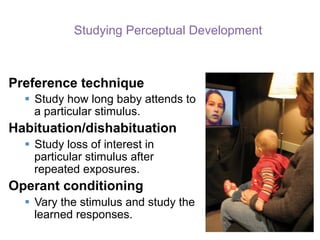 Studying Perceptual Development
Preference technique
§  Study how long baby attends to
a particular stimulus.
Habituation/dishabituation
§  Study loss of interest in
particular stimulus after
repeated exposures.
Operant conditioning
§  Vary the stimulus and study the
learned responses.
 