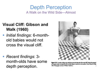 Depth Perception
A Walk on the Wild Side—Almost
Visual Cliff: Gibson and
Walk (1960)
§  Initial findings: 6-month-
old babies would not
cross the visual cliff.
§  Recent findings: 3-
month-olds have some
depth perception.
 