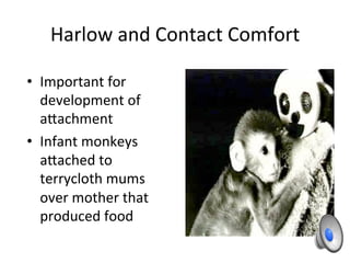 Harlow	
  and	
  Contact	
  Comfort	
  
•  Important	
  for	
  
development	
  of	
  
a`achment	
  
•  Infant	
  monkeys	
  
a`ached	
  to	
  
terrycloth	
  mums	
  
over	
  mother	
  that	
  
produced	
  food	
  
 