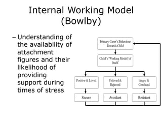 Internal Working Model
(Bowlby)
– Understanding of
the availability of
attachment
figures and their
likelihood of
providing
support during
times of stress
 